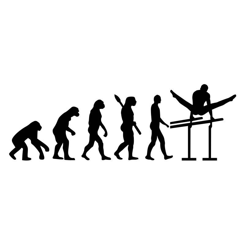 Évolution Gymnastique