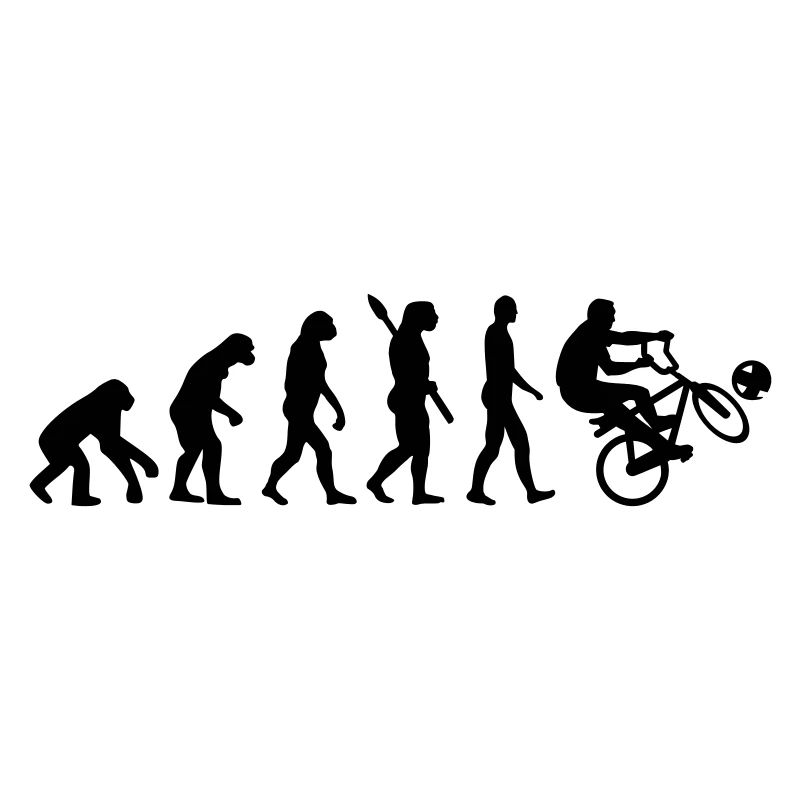 Evolution Cycle ball