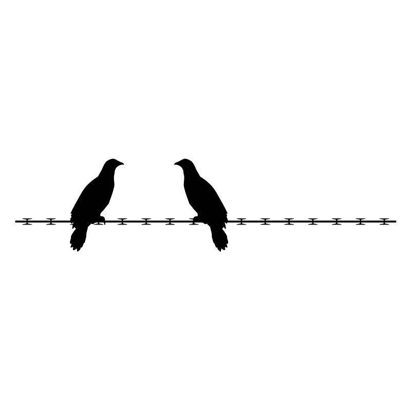 2 deaf pigeons razor barbed security security