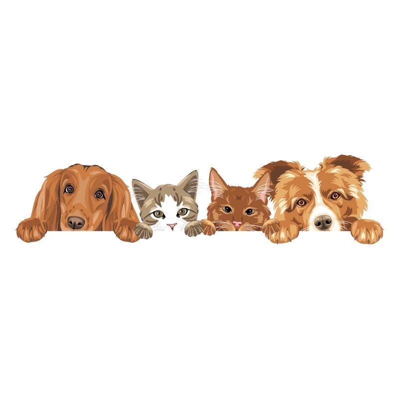 Jeter un coup d’œil à deux chats mignons et deux chiens