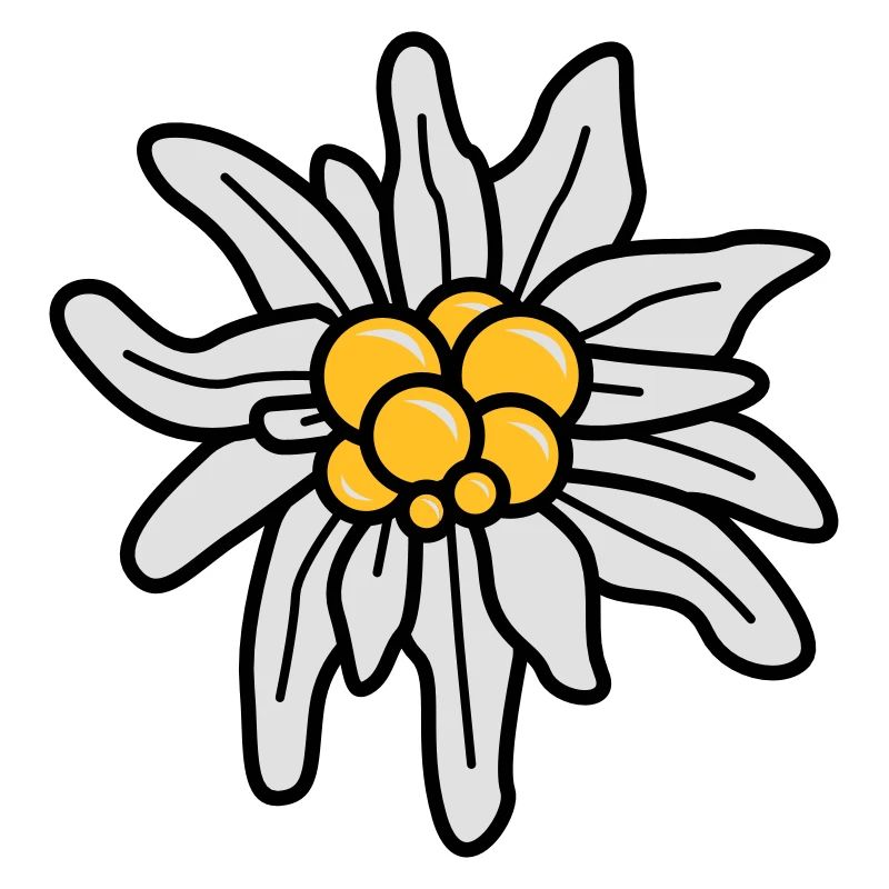 Edelweiss