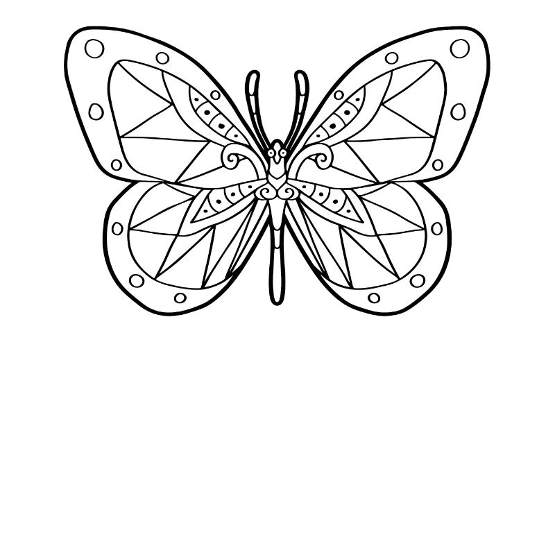 Aztec Butterfly Maya Inca Toltecs