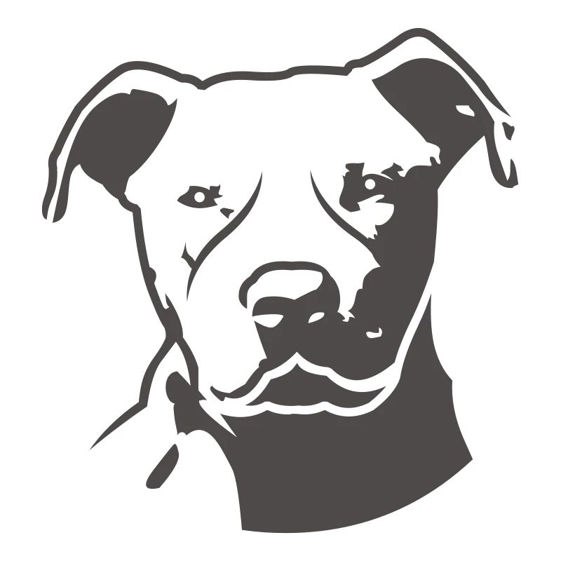 pitbull_head_front