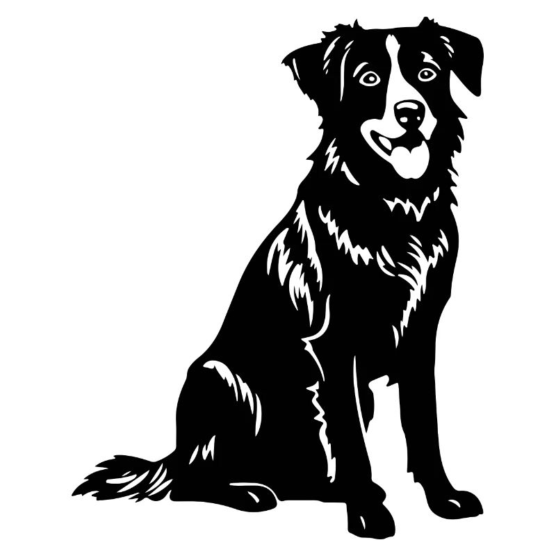 Australian Shepherd Hund