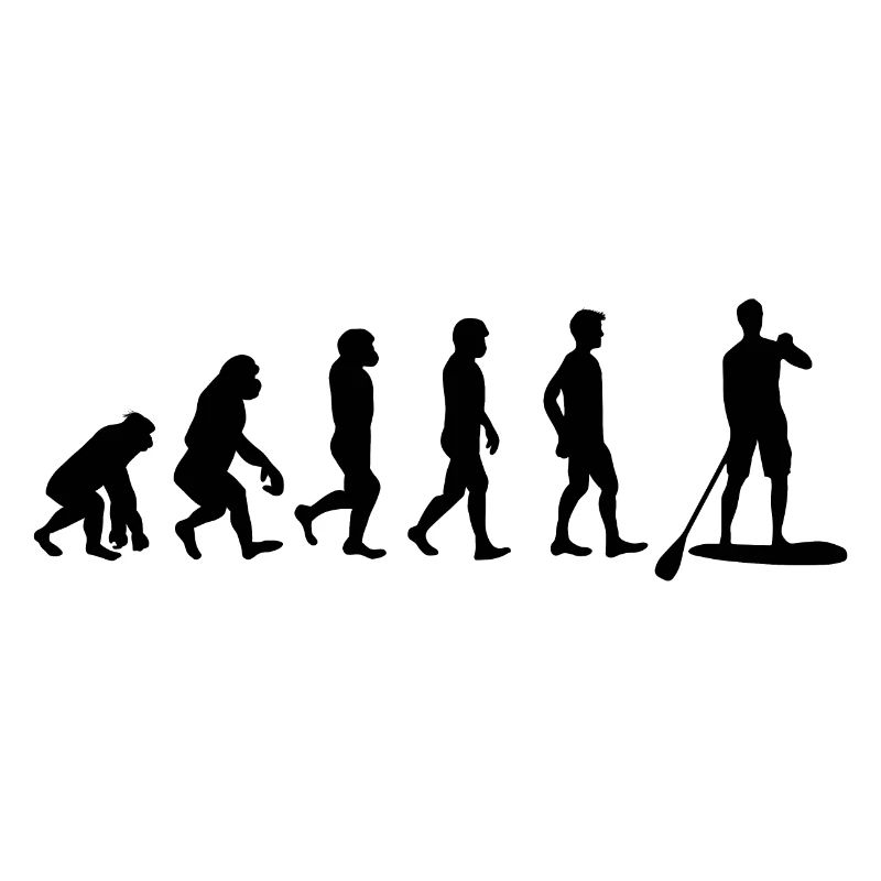 Evolution paddle