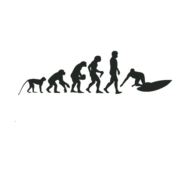 Surfen Evolution