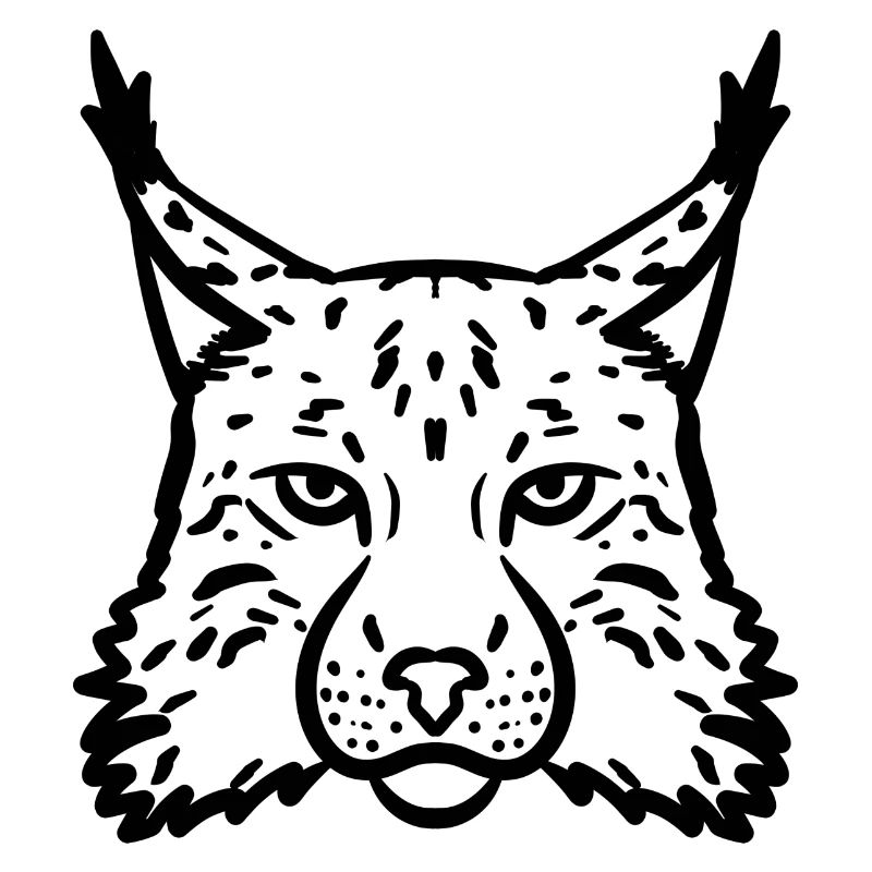 Luchs schwarz