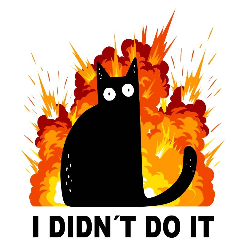 Cat I didn ́t do it Explosion Black Cat