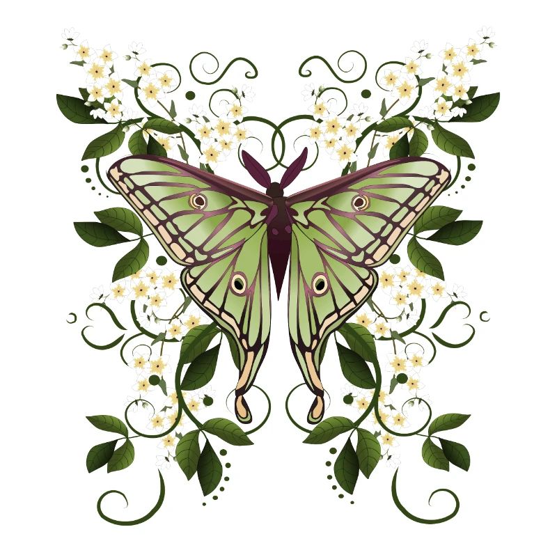 Butterfly Moth Butterfly