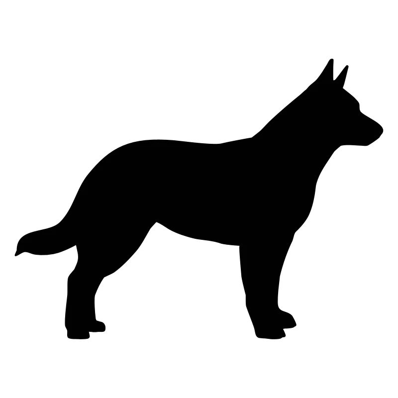 Australian Cattle Dog