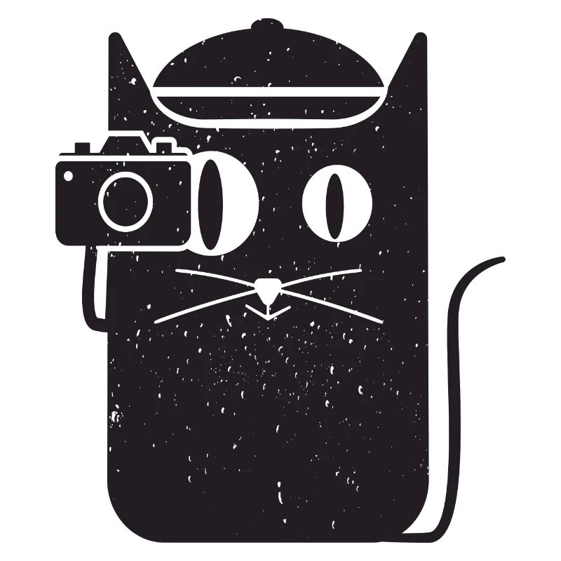Cool simple chat et caméra