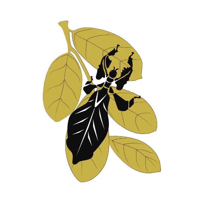 Silhouette de feuille errante sur le feuillage