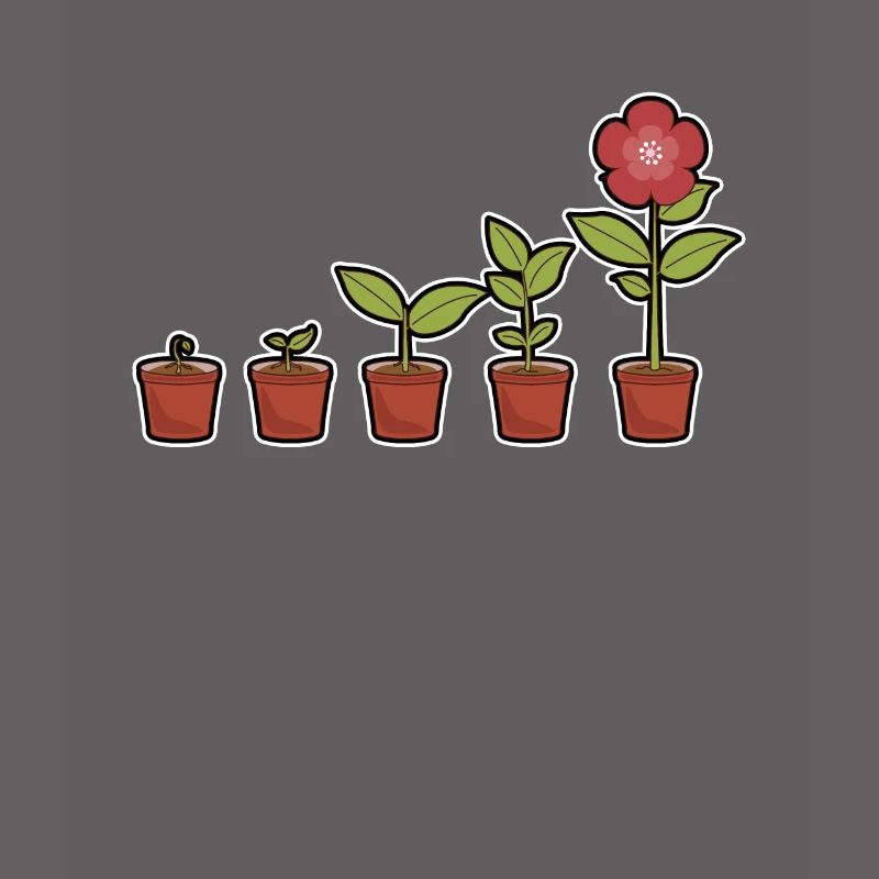 Evolution d'une fleur en fleurs dans le pot