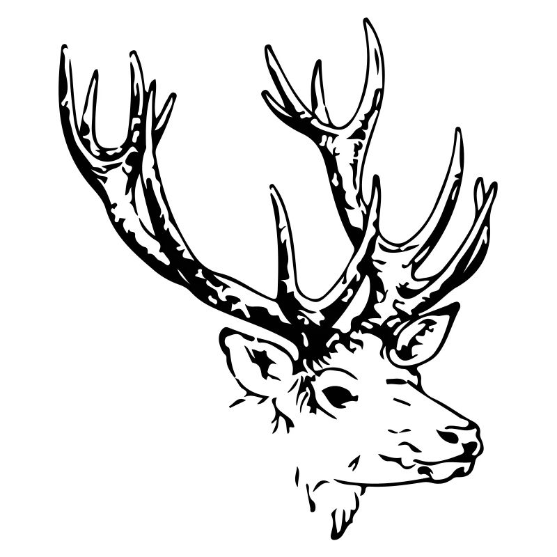 cerf