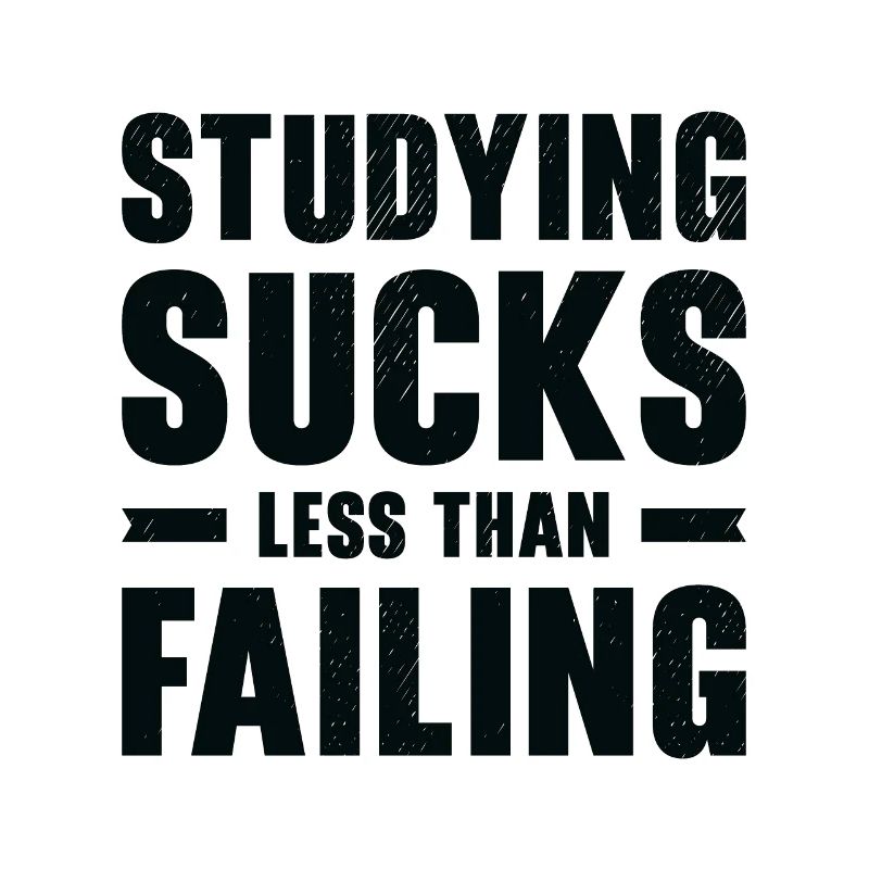 Studying Student Learning Education Lessons Study