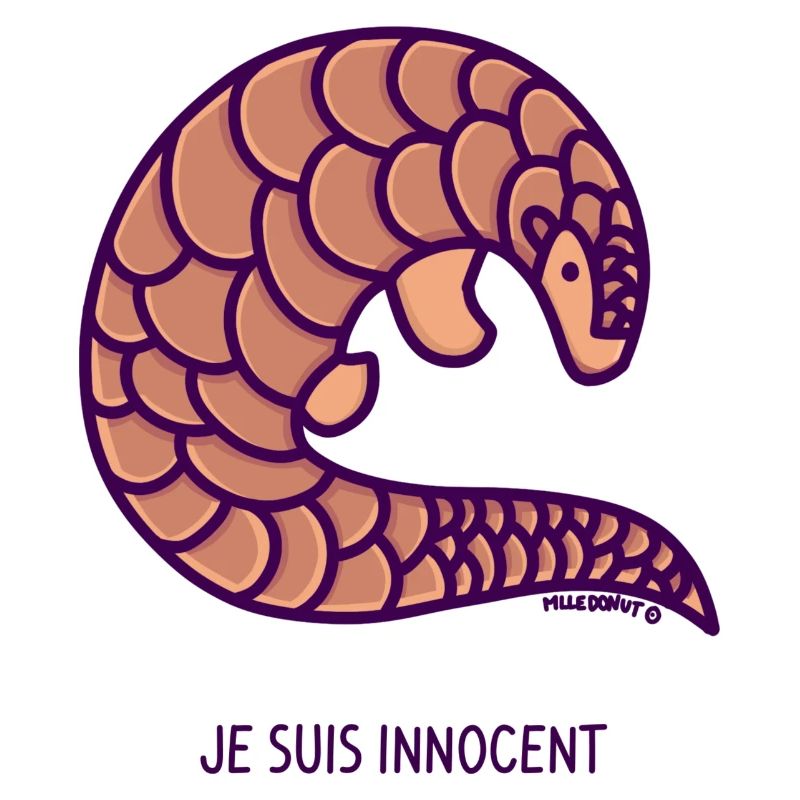 Pagolin - I'm Innocent