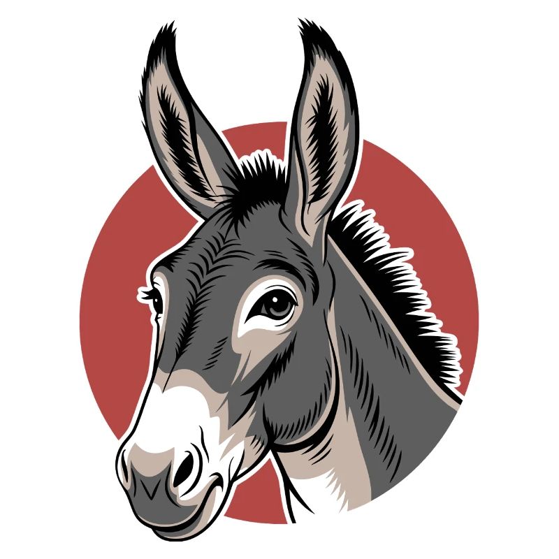Âne Mule Cheval Ferme Élevage Fermier Mignon