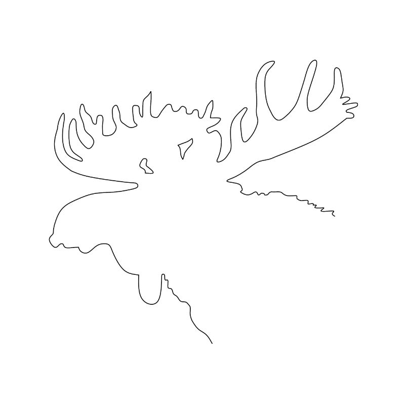 Moose