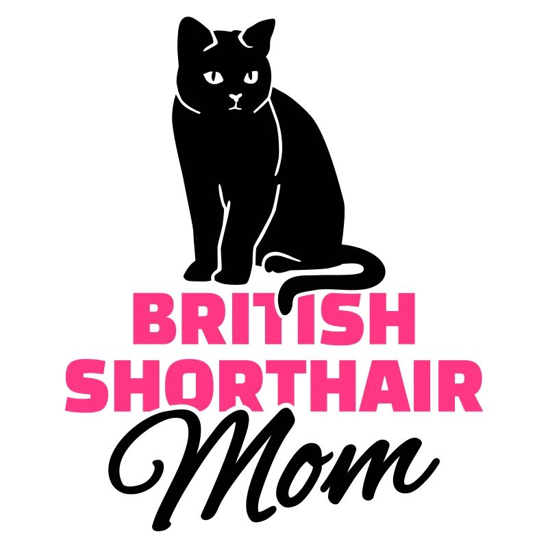 Britisch Kurzhaar Katze