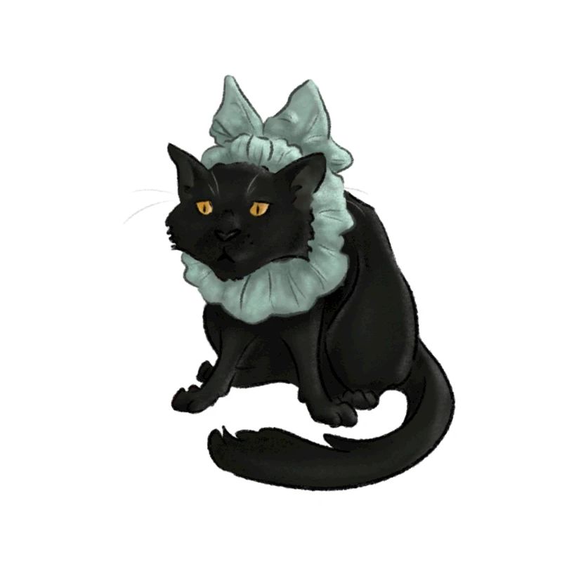 Funny Cat With Bow