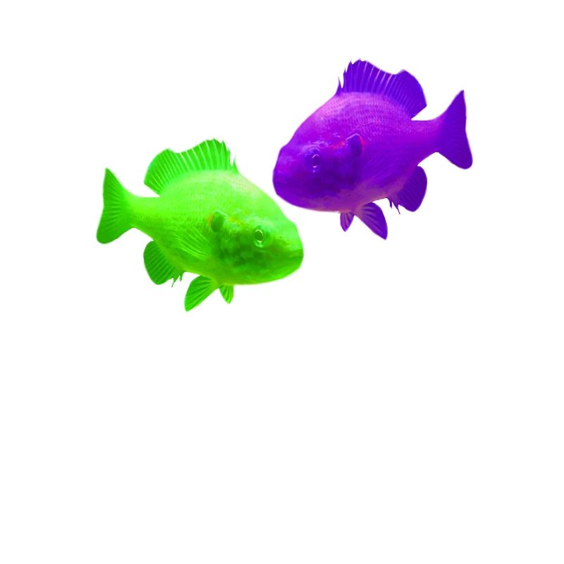 Pisces