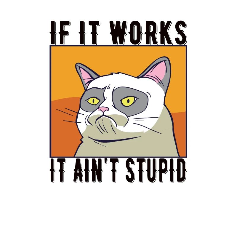 Cat meme Si ça marche, ce n'est pas stupide