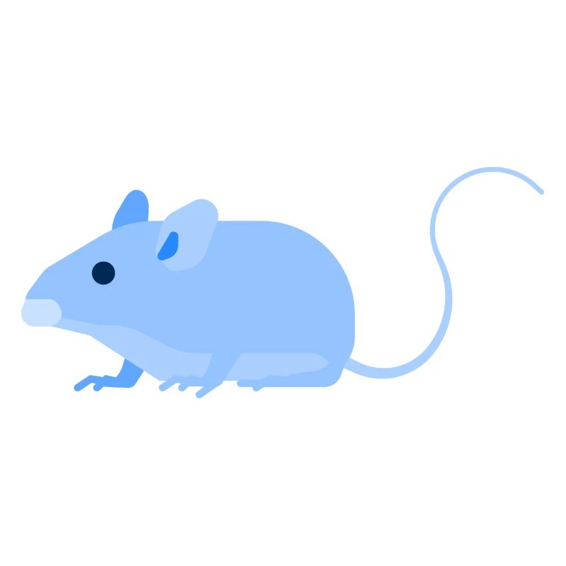 Urban - mouse