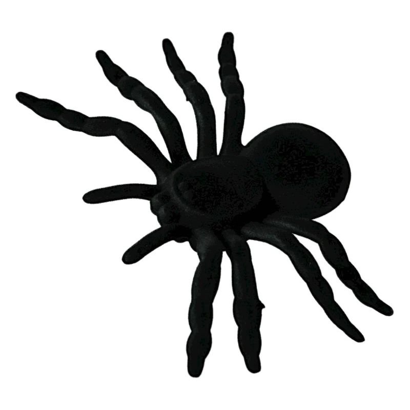 Spider Web, Spider Web, Spider Phobia, Disgusting Gift