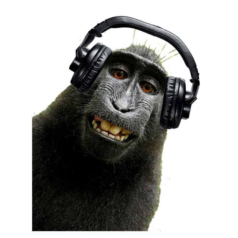 Hemd Monkey Music von Custom