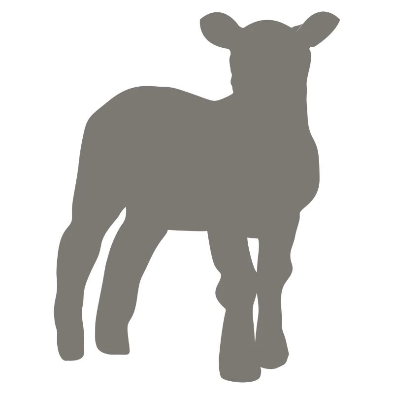 lamb