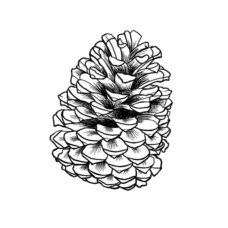 2C8C3018 CB30 4DC0 A786 52DE14A8B01C
