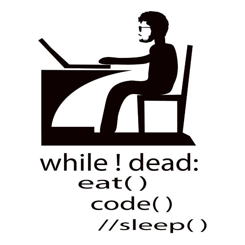 Softwareentwickler Programmierer Geschenk