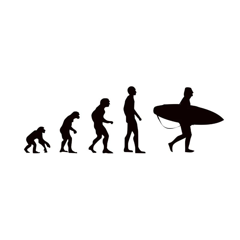 Evolution Surfing