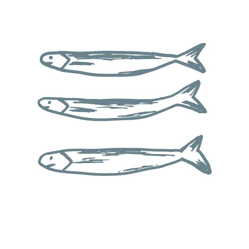 Splom 4,Poissons,Pêche,Design,Cadeau,cool,chic