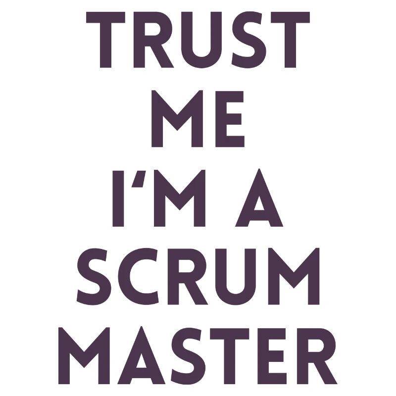 Trust me I'm a scrum master Geschenk Computer Code