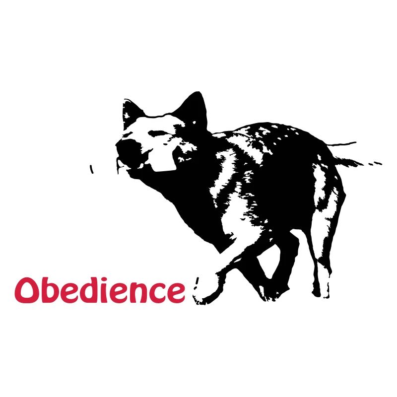 Obedience Cattledog