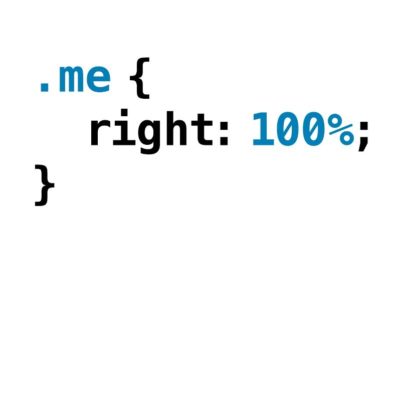Funny geek - CSS Right 100% Programmer Nerd Tech