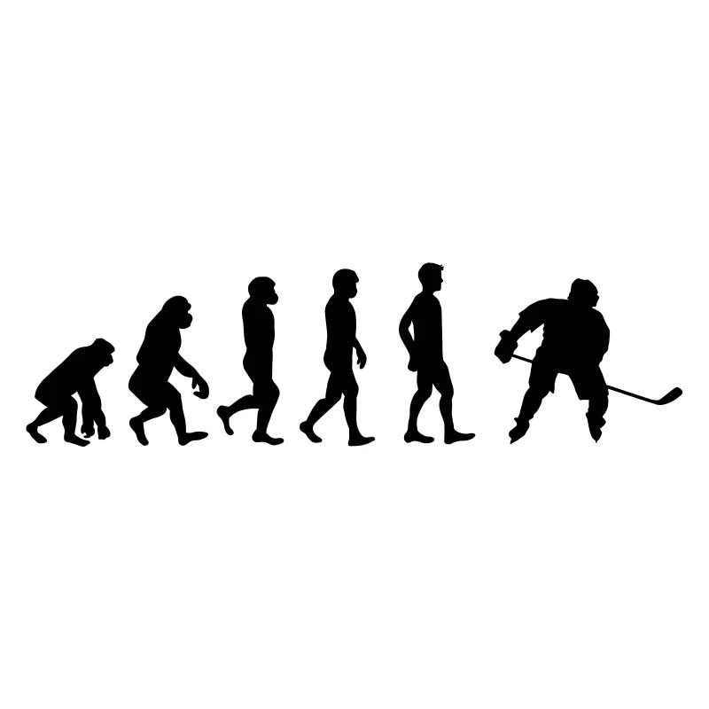 Evolution hockey sur glace | Evolution hockey sur glace