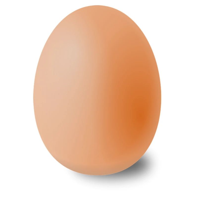 Beautiful egg