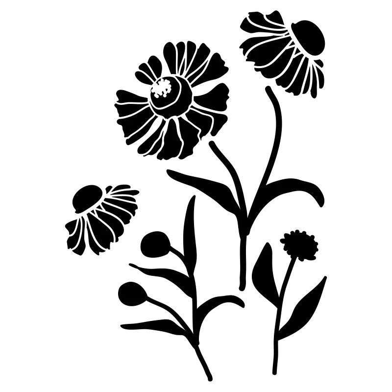 Helenium floral