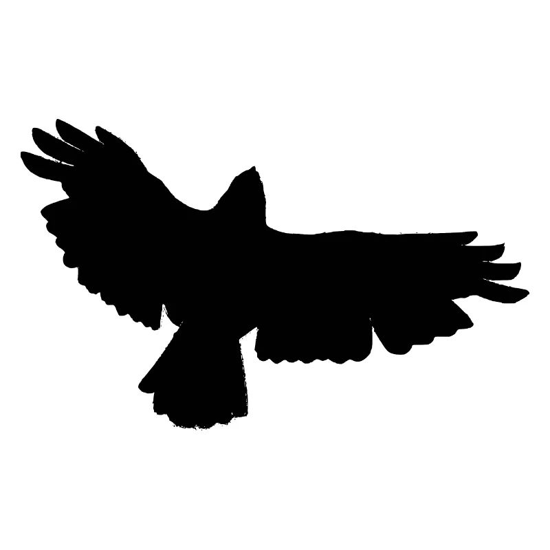 Conception d'oiseau de proie