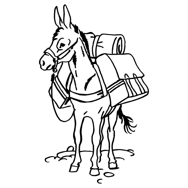 Packesel