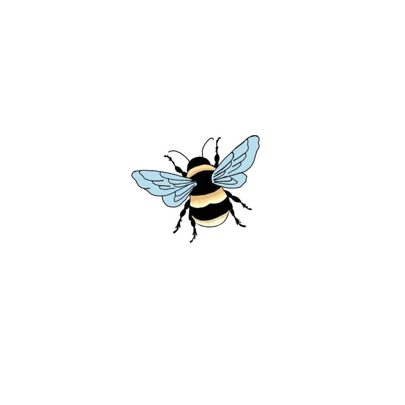 Beautiful bee