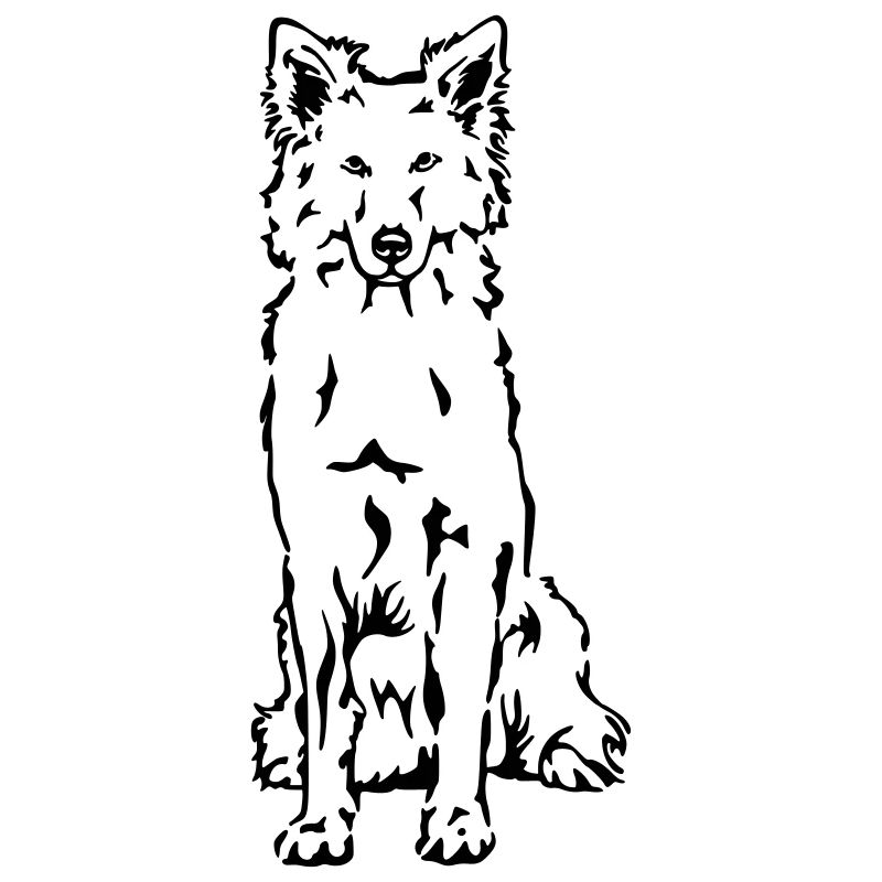 Berger Blanc Suisse Berger Blanc
