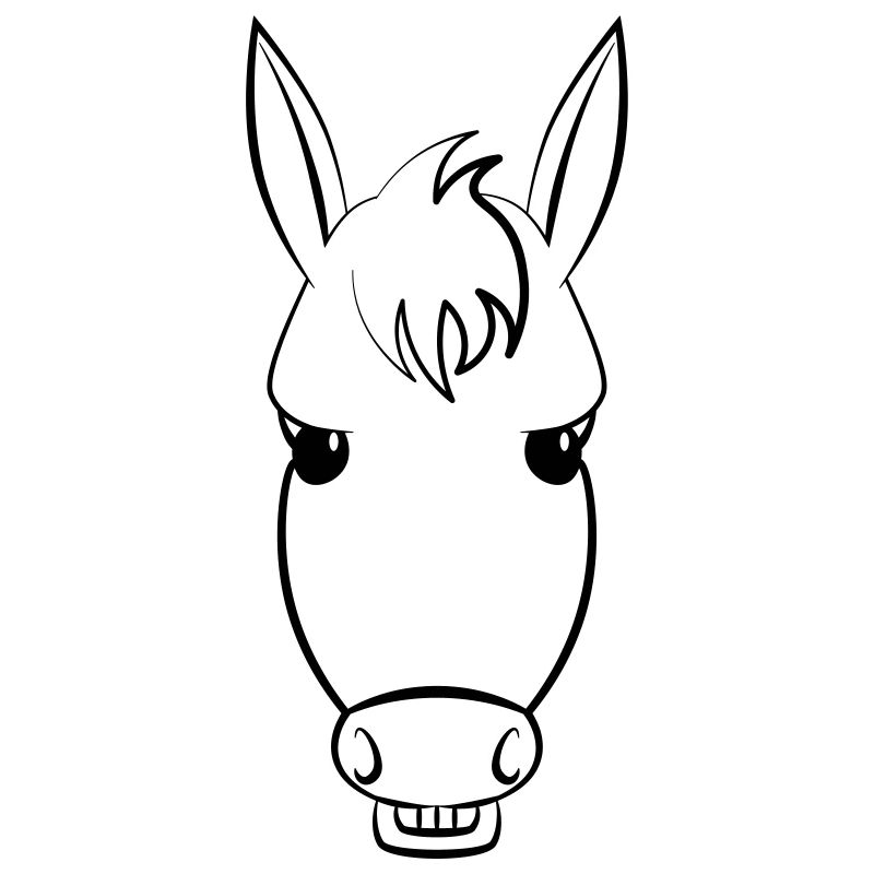 Grinning donkey shows its teeth