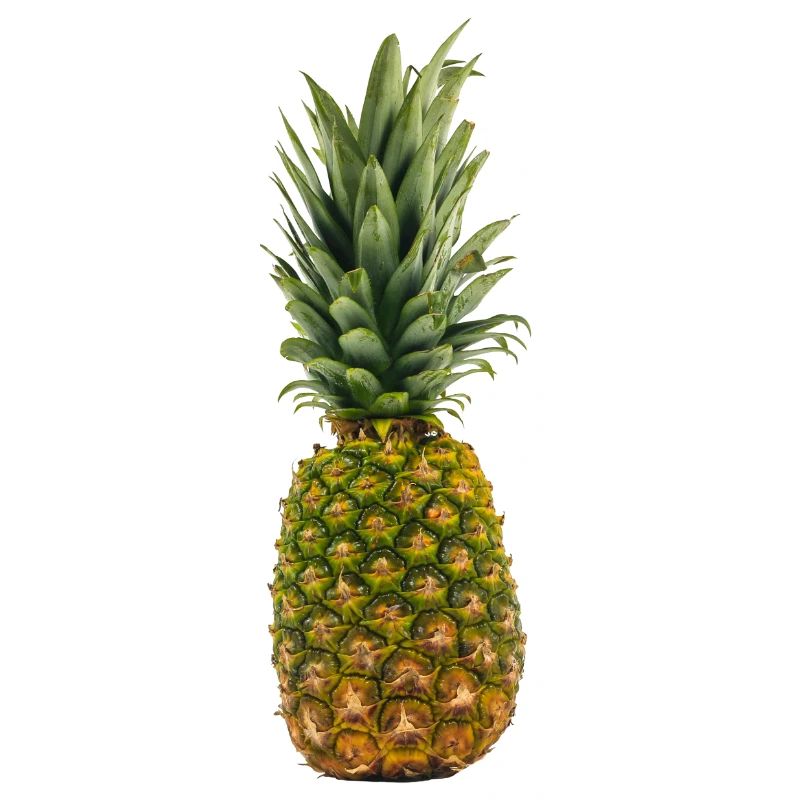 Ananas pineapple