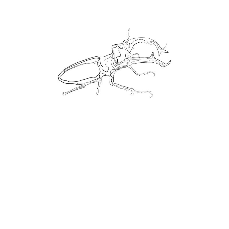 Stag beetle - one line drawing