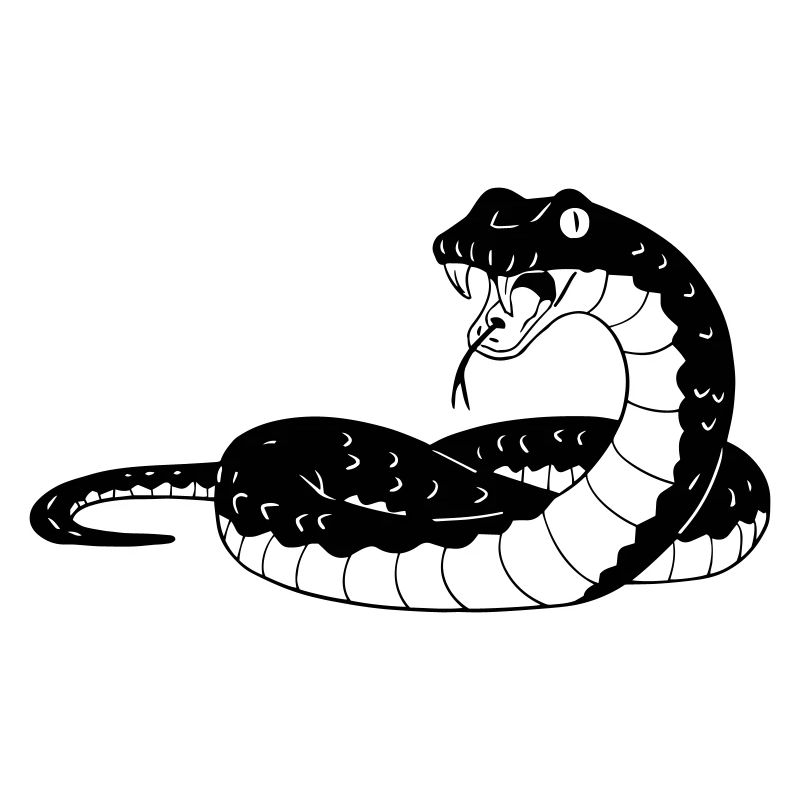 Hissing Snake Encounter