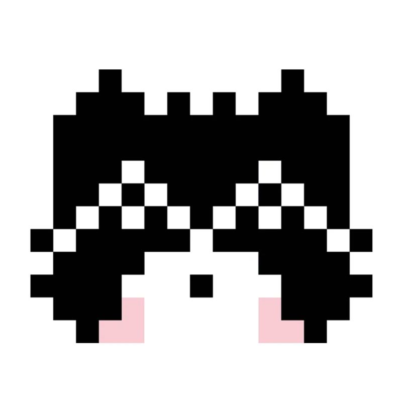 Waschbaer Pixel Art