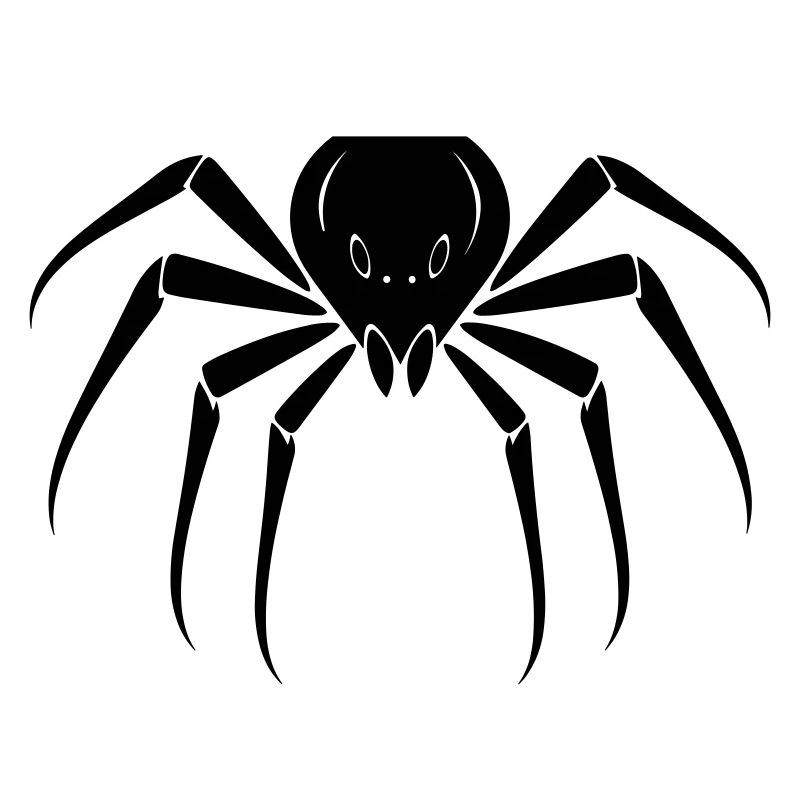 Spinne